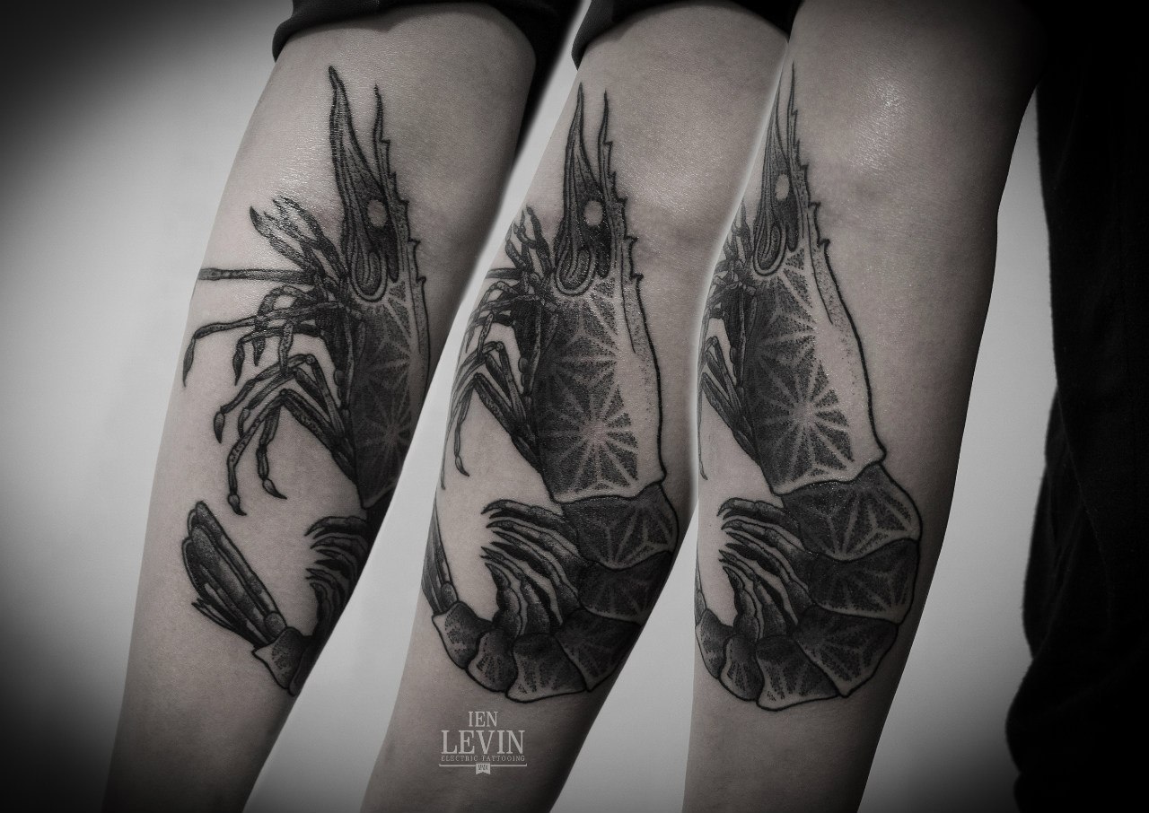 Realistic Shrimp Dotwork tattoo by Ien Levin